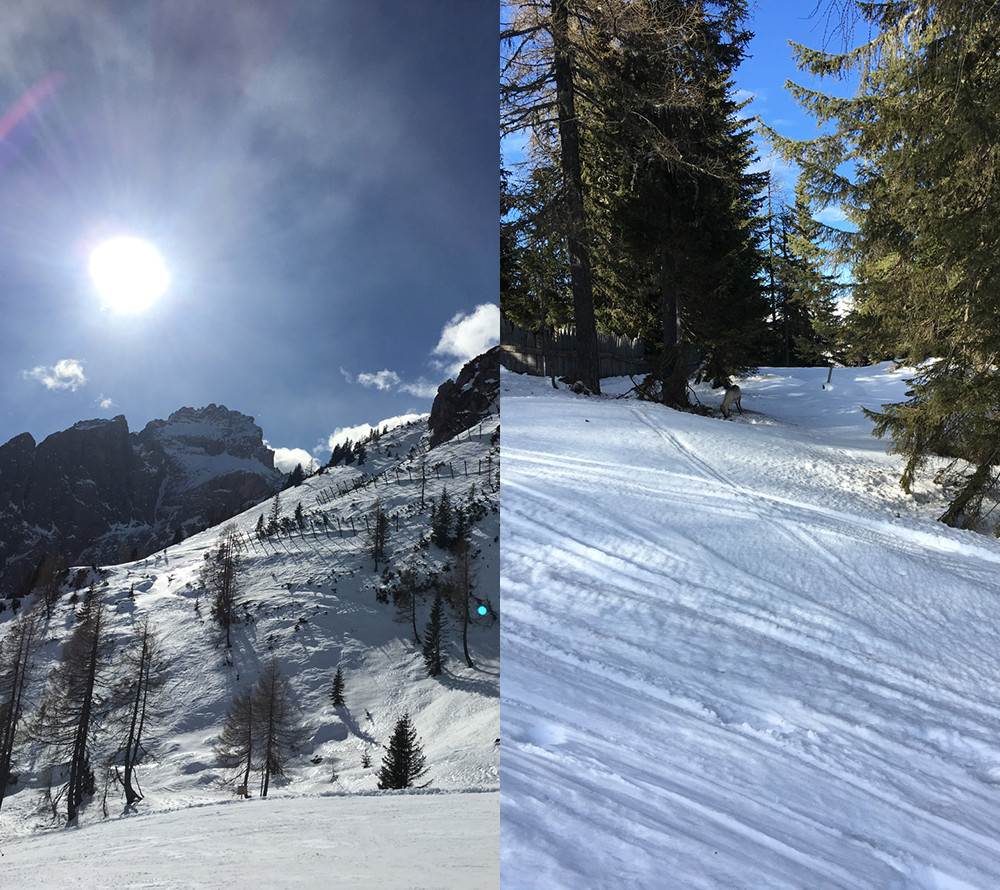 sunny mountain slopes in Northern Italy and a reindeer peacefully hanging out on the side of a ski slope.